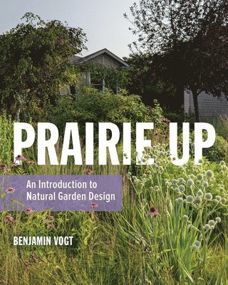 Prairie Up 1