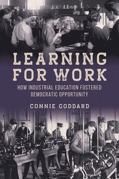 bokomslag Learning for Work