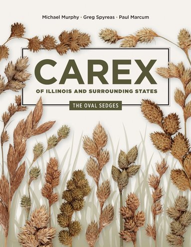Michael Murphy, Greg Spyreas, Paul Marcum - Carex of Illinois and Surrounding States, Häftad