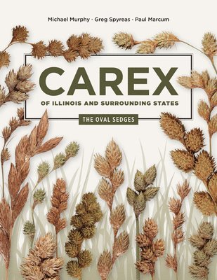 Carex of Illinois and Surrounding States 1