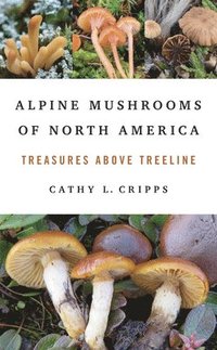 bokomslag Alpine Mushrooms of North America