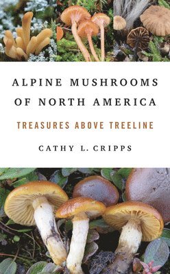 bokomslag Alpine Mushrooms of North America