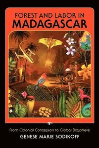bokomslag Forest and Labor in Madagascar: From Colonial Concession to Global Biosphere