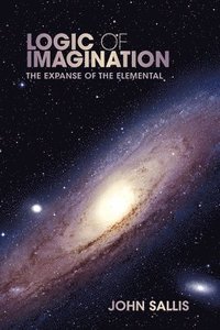 bokomslag Logic of Imagination