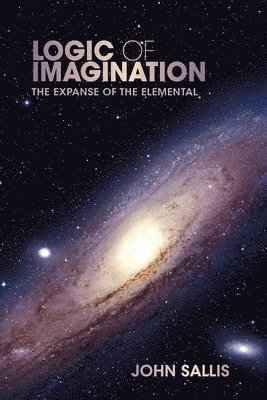 Logic of Imagination 1