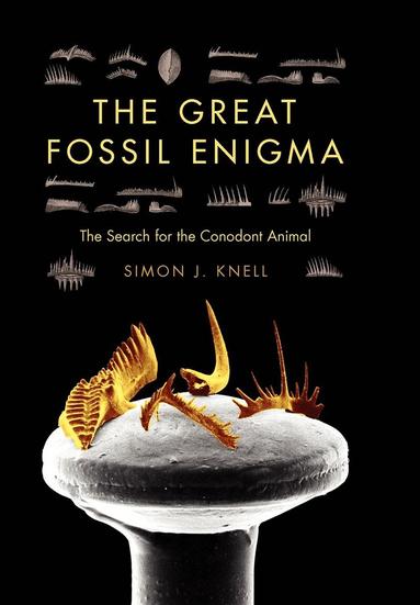 Simon J. Knell - Great Fossil Enigma, Inbunden