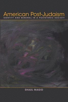 bokomslag American Post-Judaism: Identity and Renewal in a Postethnic Society
