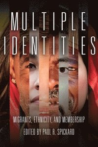 bokomslag Multiple Identities: Migrants, Ethnicity, and Membership