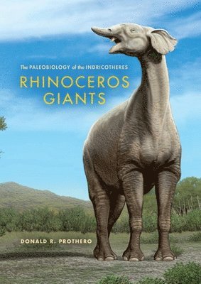 Rhinoceros Giants 1