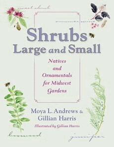 Moya L. Andrews - Shrubs Large and Small, Häftad