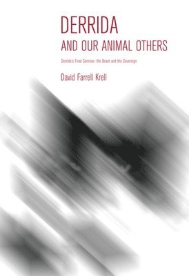 bokomslag Derrida and Our Animal Others