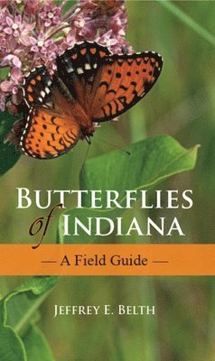 Butterflies of Indiana 1