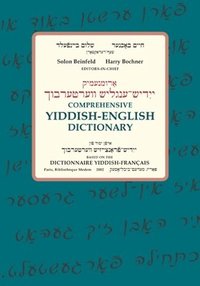 bokomslag Comprehensive Yiddish-English Dictionary