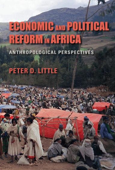 Peter D. Little - Economic and Political Reform in Africa, Häftad