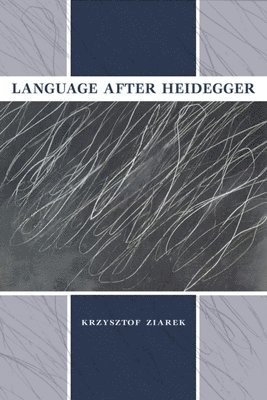 Language after Heidegger 1