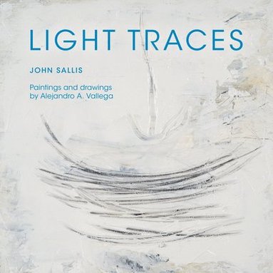 bokomslag Light Traces