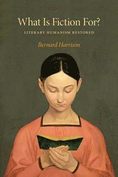 bokomslag What Is Fiction for?
