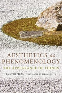 bokomslag Aesthetics as Phenomenology