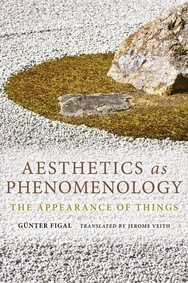 Günter Figal - Aesthetics As Phenomenology, Inbunden