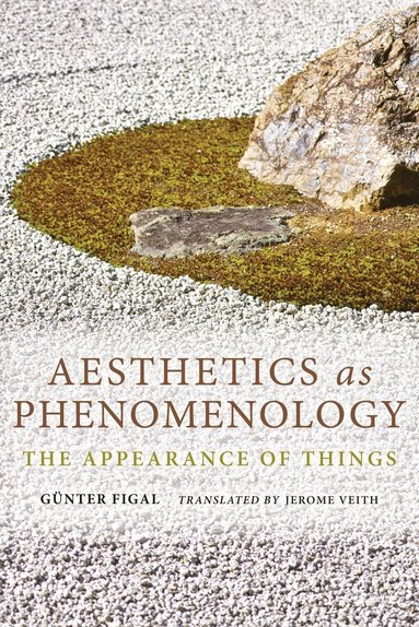 bokomslag Aesthetics As Phenomenology