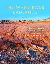 bokomslag The White River Badlands