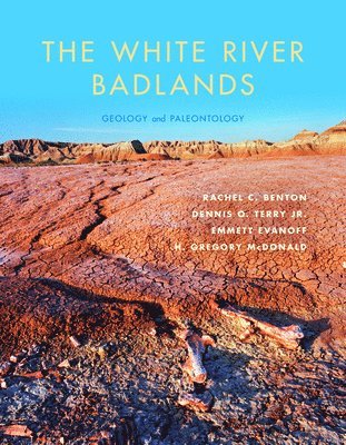 bokomslag The White River Badlands