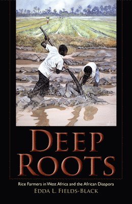 Deep Roots 1