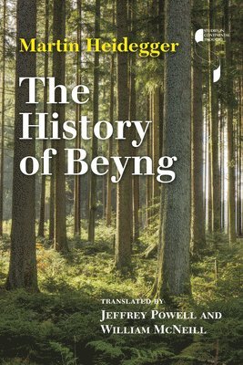 bokomslag The History of Beyng