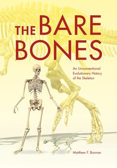 bokomslag Bare Bones
