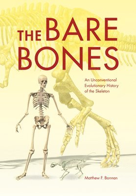 The Bare Bones 1