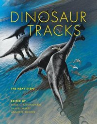 bokomslag Dinosaur Tracks