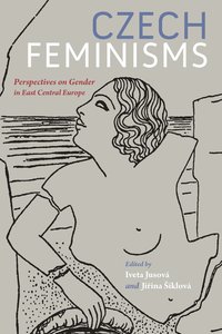 bokomslag Czech Feminisms