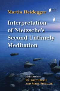 bokomslag Interpretation of Nietzsche's Second Untimely Meditation