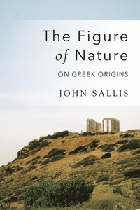 bokomslag Figure of Nature