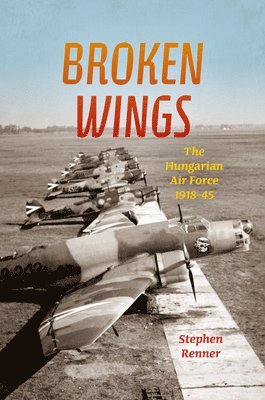 bokomslag Broken Wings