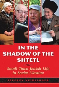 bokomslag In the Shadow of the Shtetl