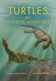 bokomslag Turtles As Hopeful Monsters