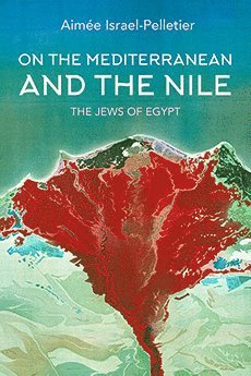 bokomslag On the Mediterranean and the Nile