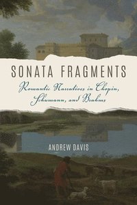 bokomslag Sonata Fragments