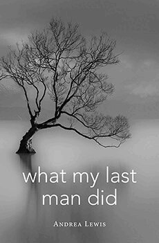 Andrea Lewis, Priscilla Long, Rebecca Brown, Pam Houston - What My Last Man Did, Häftad