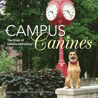 bokomslag Campus Canines