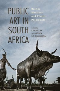 bokomslag Public Art in South Africa