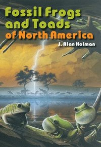 bokomslag Fossil Frogs and Toads of North America