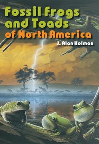 bokomslag Fossil Frogs and Toads of North America