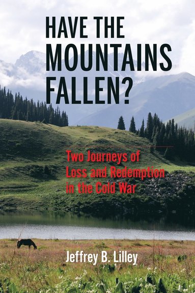 bokomslag Have the Mountains Fallen?