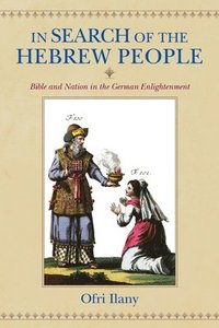 bokomslag In Search of the Hebrew People