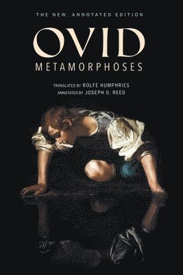 bokomslag Metamorphoses
