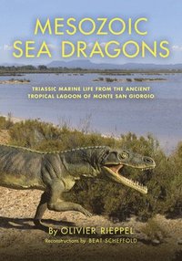bokomslag Mesozoic Sea Dragons