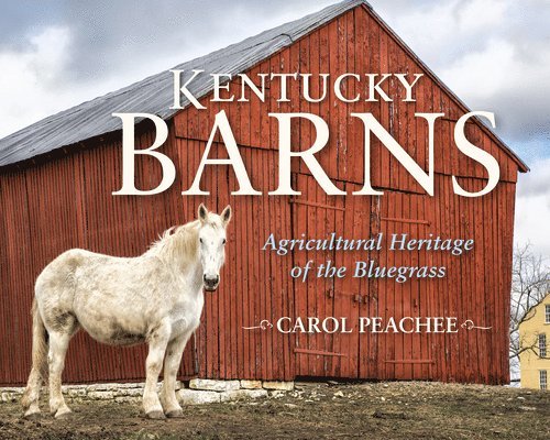 Kentucky Barns 1
