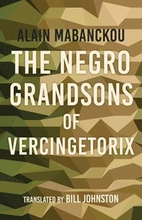 bokomslag The Negro Grandsons of Vercingetorix